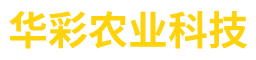 湖南華彩農業科技開發有限公司—湖南省農業開發|常德茶油的開發|澧縣油菜種植